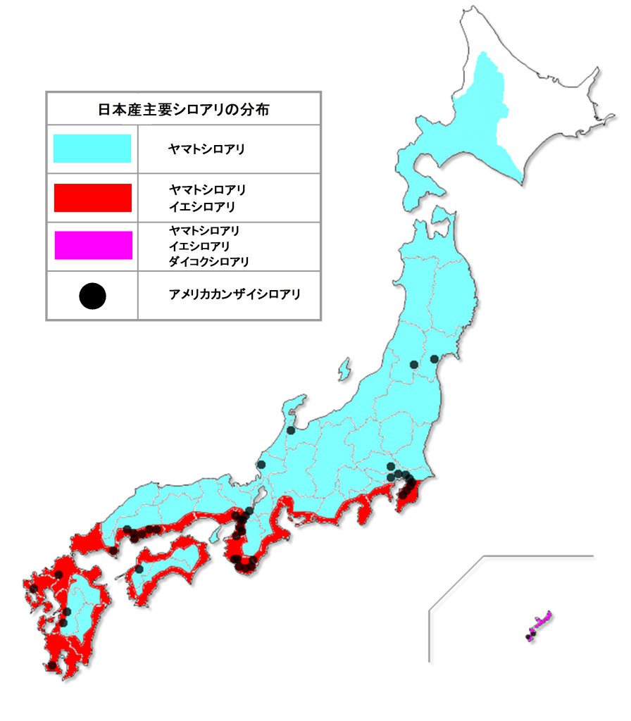 日本産主要シロアリの分布