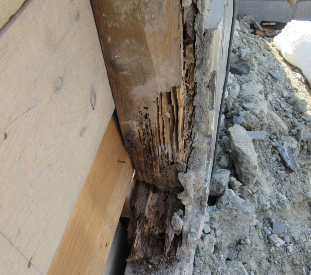 シロアリの被害　浴室柱
