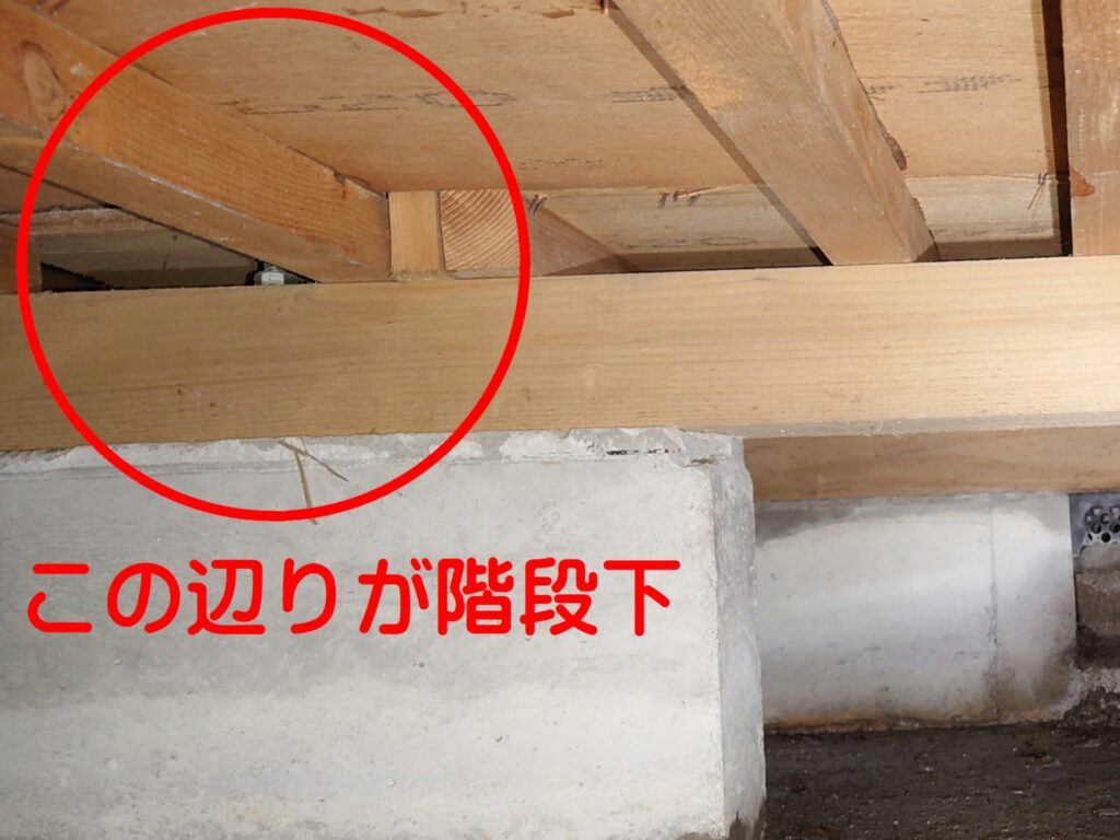床下から階段下を確認 排水管の影響で侵入できなかった様子